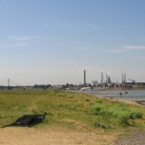 1007F_67a der Rhein